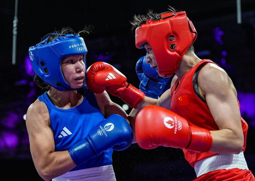 巴黎奧運會 楊文璐晉級拳擊女子60公斤級四分之一決賽，展現(xiàn)賽事組織與競技風(fēng)采